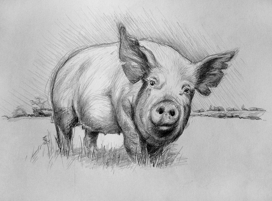 7fc73b41114743.5799262265c5f